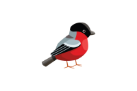 Bullfinch bird PNG