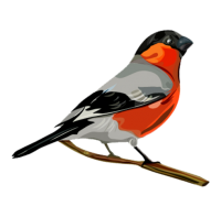Bullfinch bird PNG
