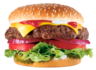 hamburger, burger PNG image