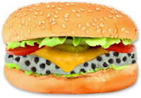 hamburger, burger PNG image Mac burger