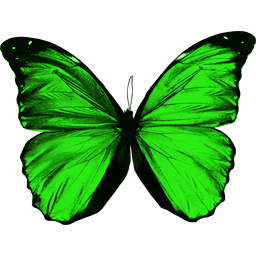 Green flying butterfly PNG image