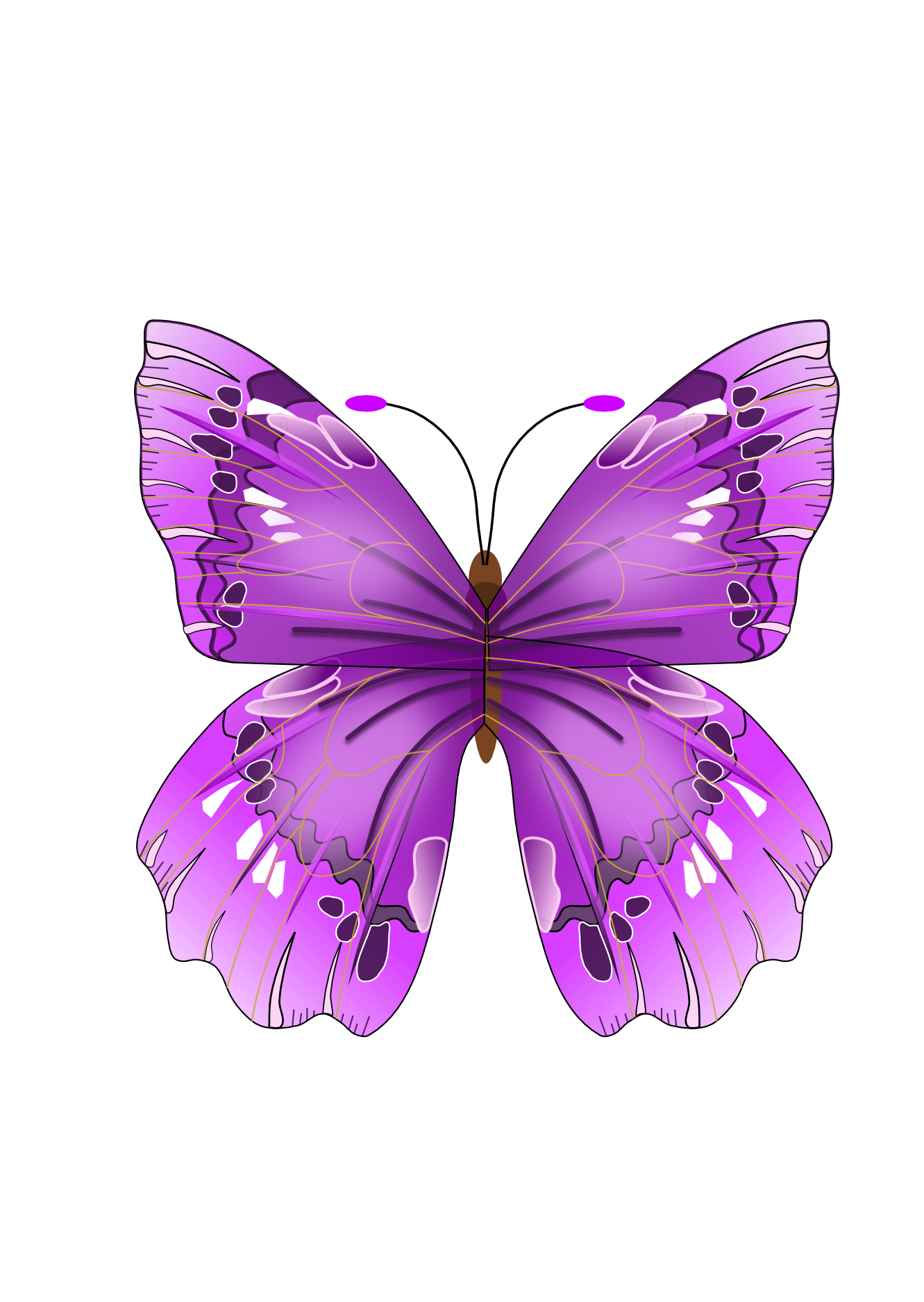 Butterfly PNG image transparent image download, size: 1331x1876px