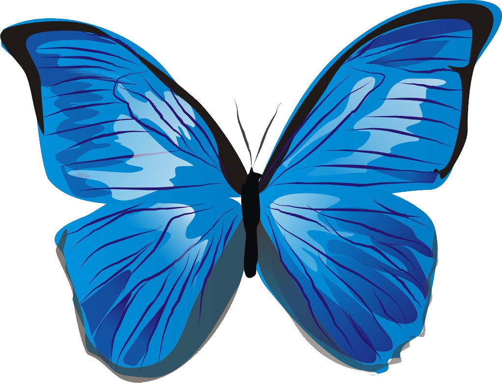 Mariposa PNG