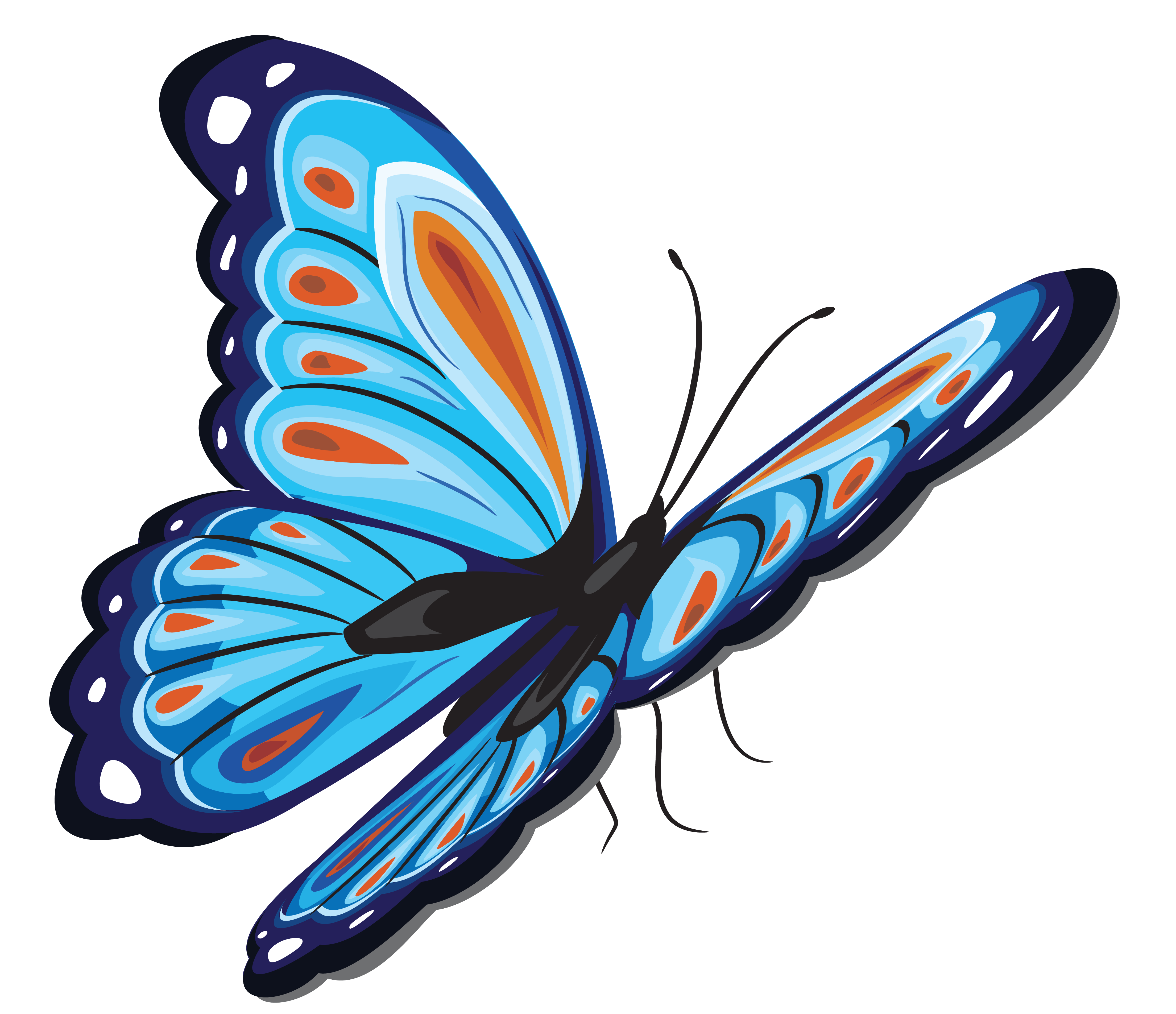 Butterfly PNG blue