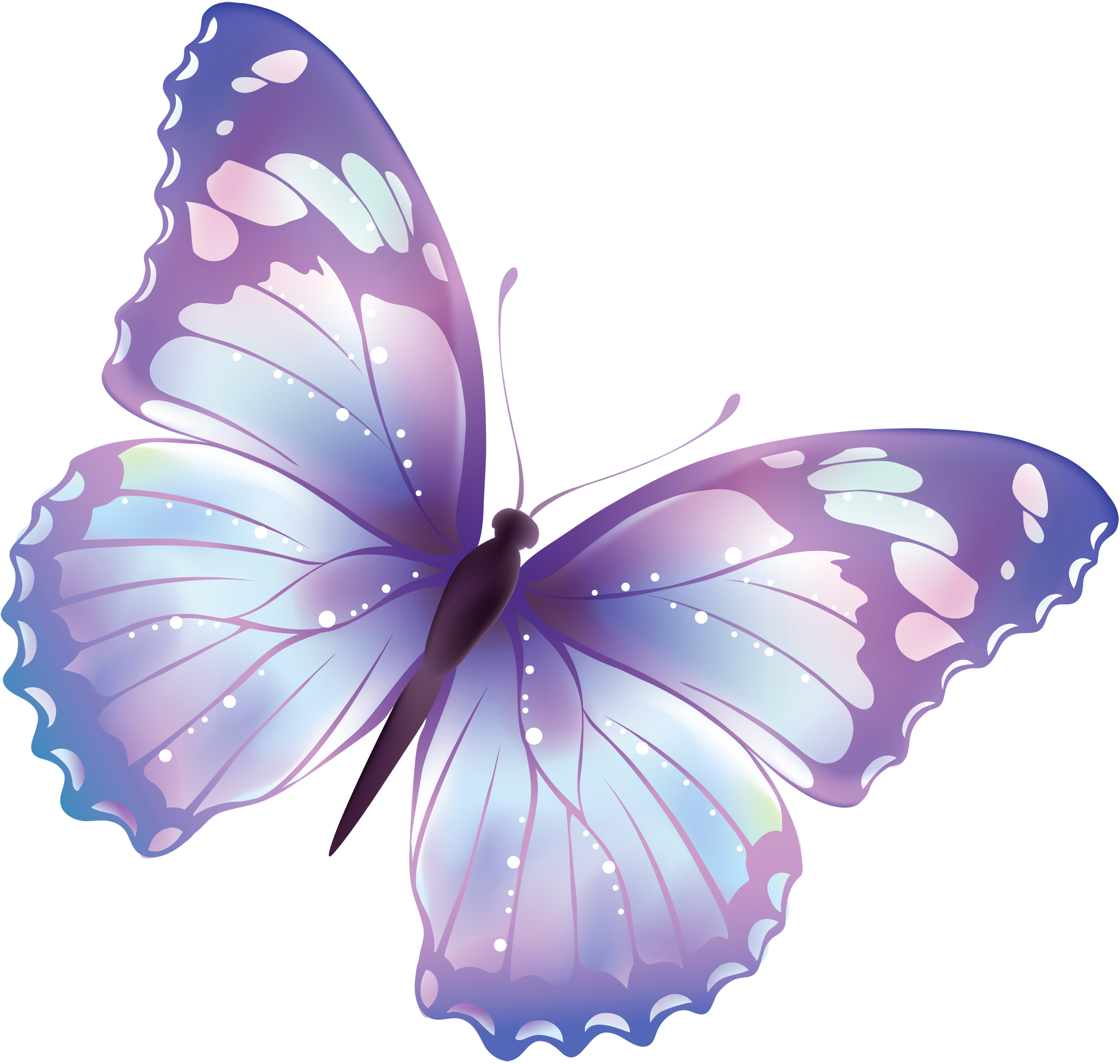 flying butterfly PNG image