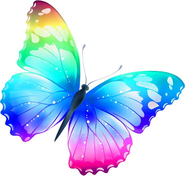 Colorful Butterfly PNG Image Colorful Butterfly PNG Image