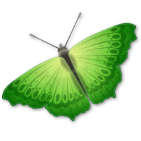 Butterfly PNG image, free picture download