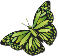 big green butterfly PNG