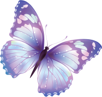flying butterfly PNG image