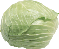 Cabbage PNG
