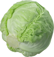 Cabbage PNG