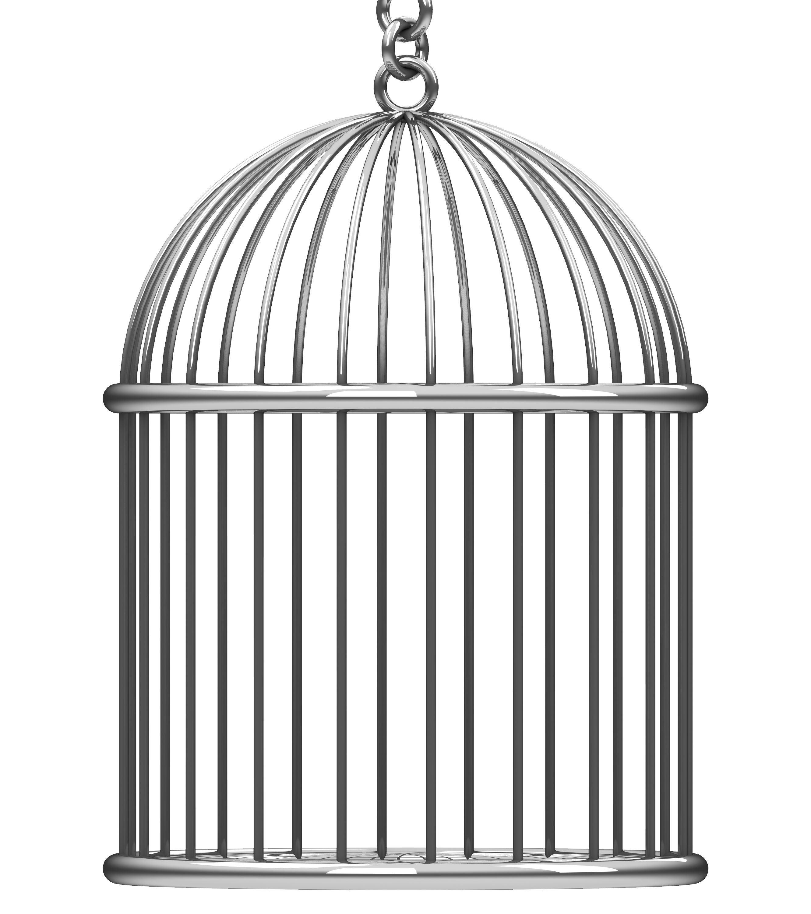 Cage bird PNG