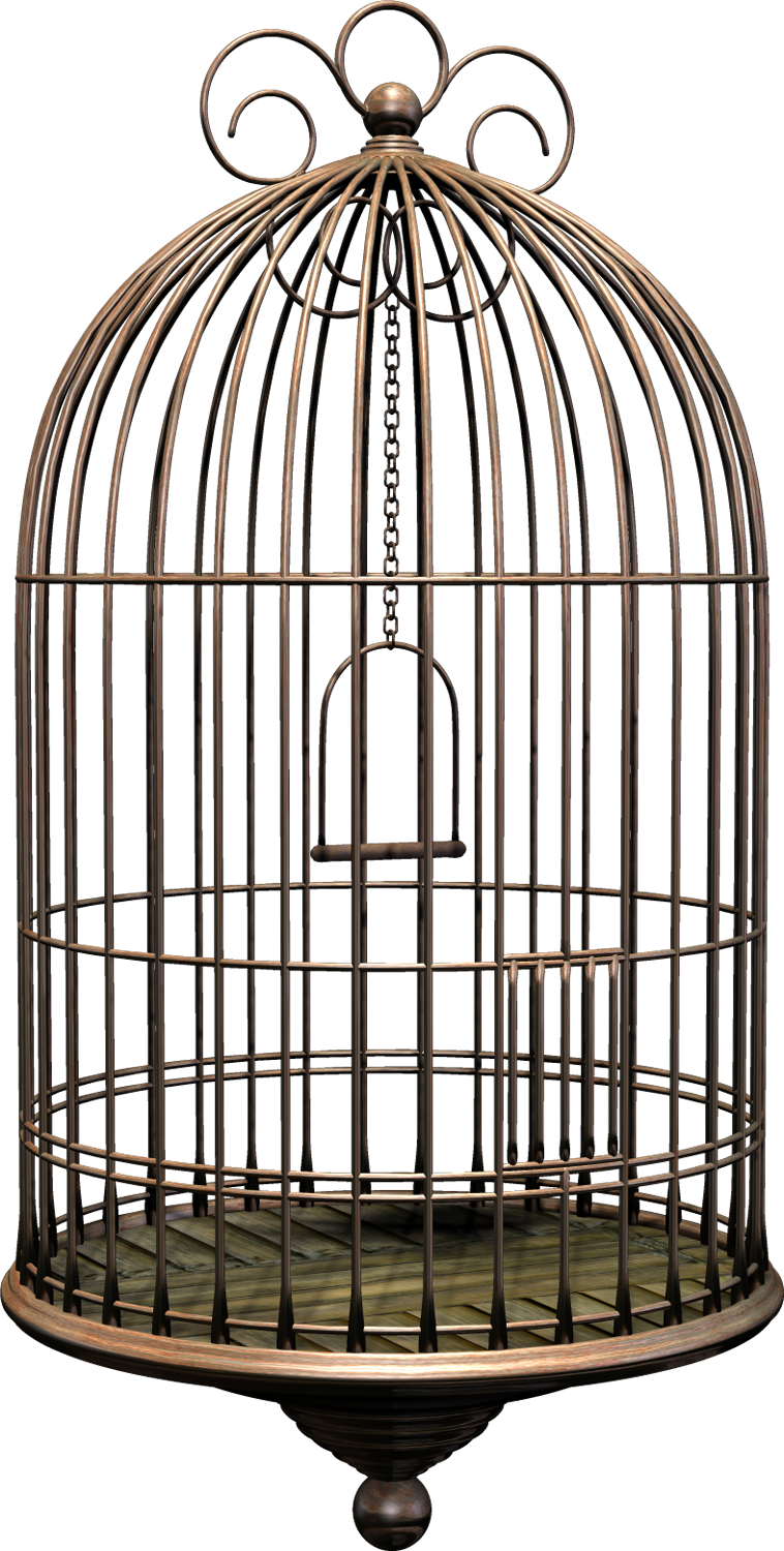 Scatter Seeds HDBHSBE Bird Cage Seed Catcher Guard 4Pcs Anti-Scatter Mess-free Bird Cage Poop Guards
