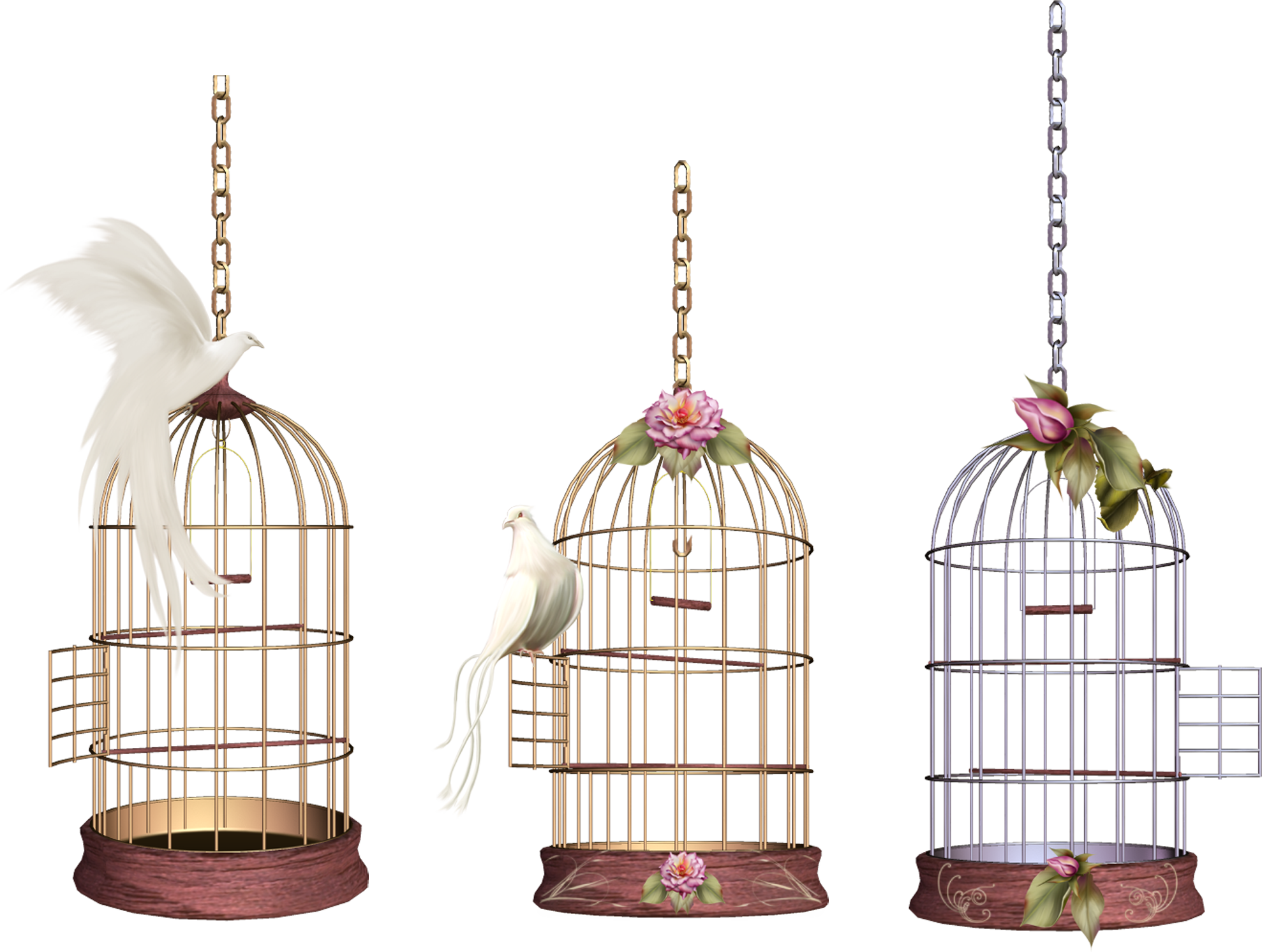 Antiques___Collectibles_-_where_to_find cage_PNG8