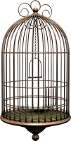 Cage bird PNG