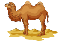 Верблюд PNG