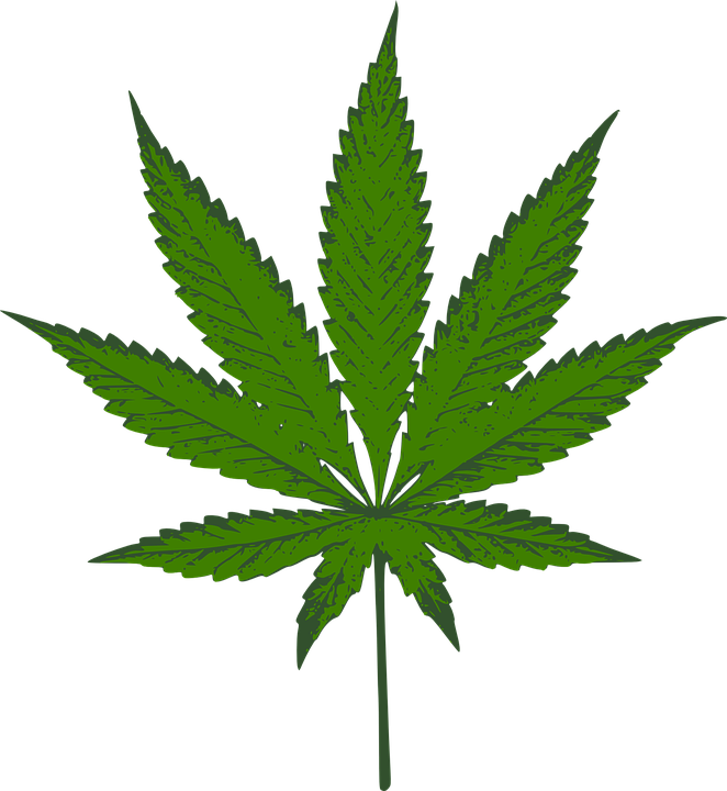 Векторный рисунок конопли от марихуаны повышается или понижается давление
