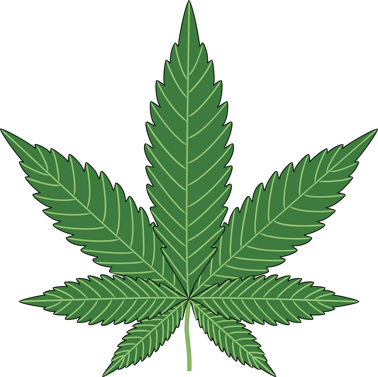 Cannabis PNG