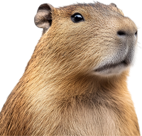 Capybara PNG