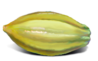 Carambola PNG