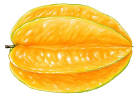 Carambola PNG