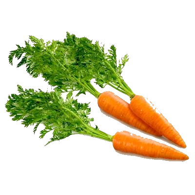 Carrot PNG Image