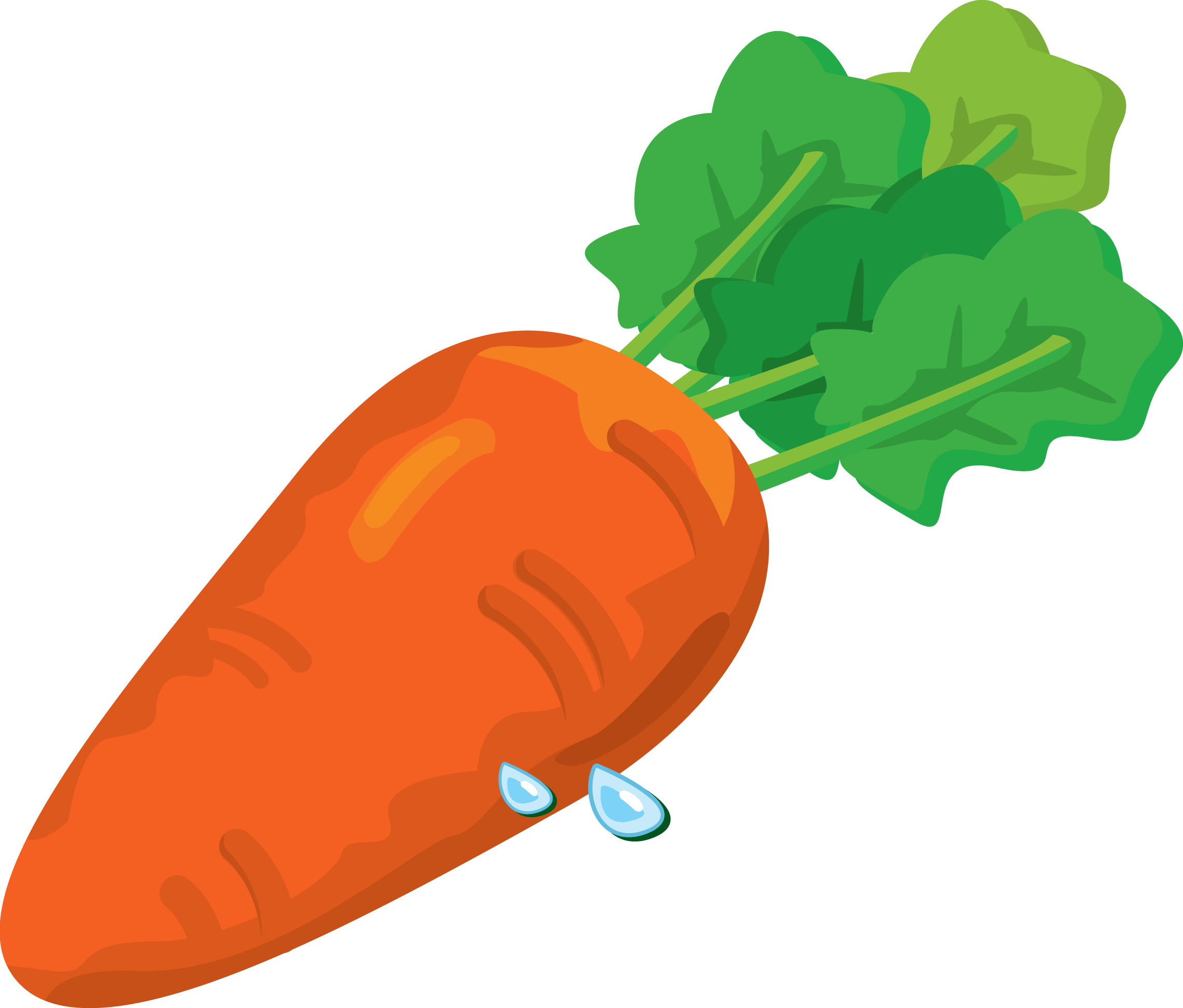 Carrot