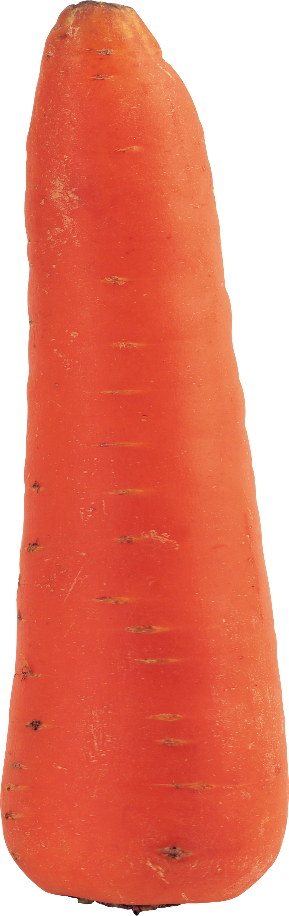 Carrot PNG