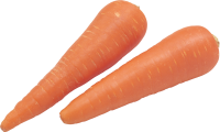 Морковь PNG фото