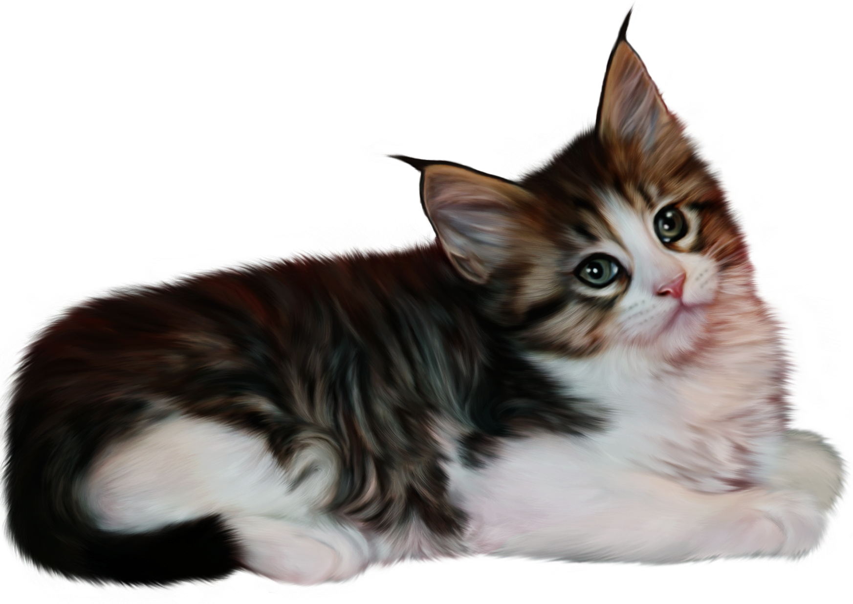 Cats PNG images Download