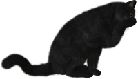 Cat with paw PNG
