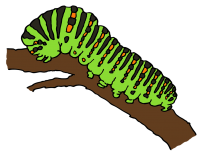 Гусеница PNG