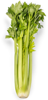 Celery PNG