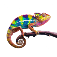 Chameleon PNG