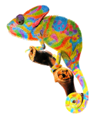 Chameleon PNG