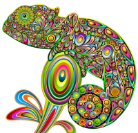 Chameleon PNG image