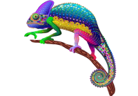 Chameleon PNG