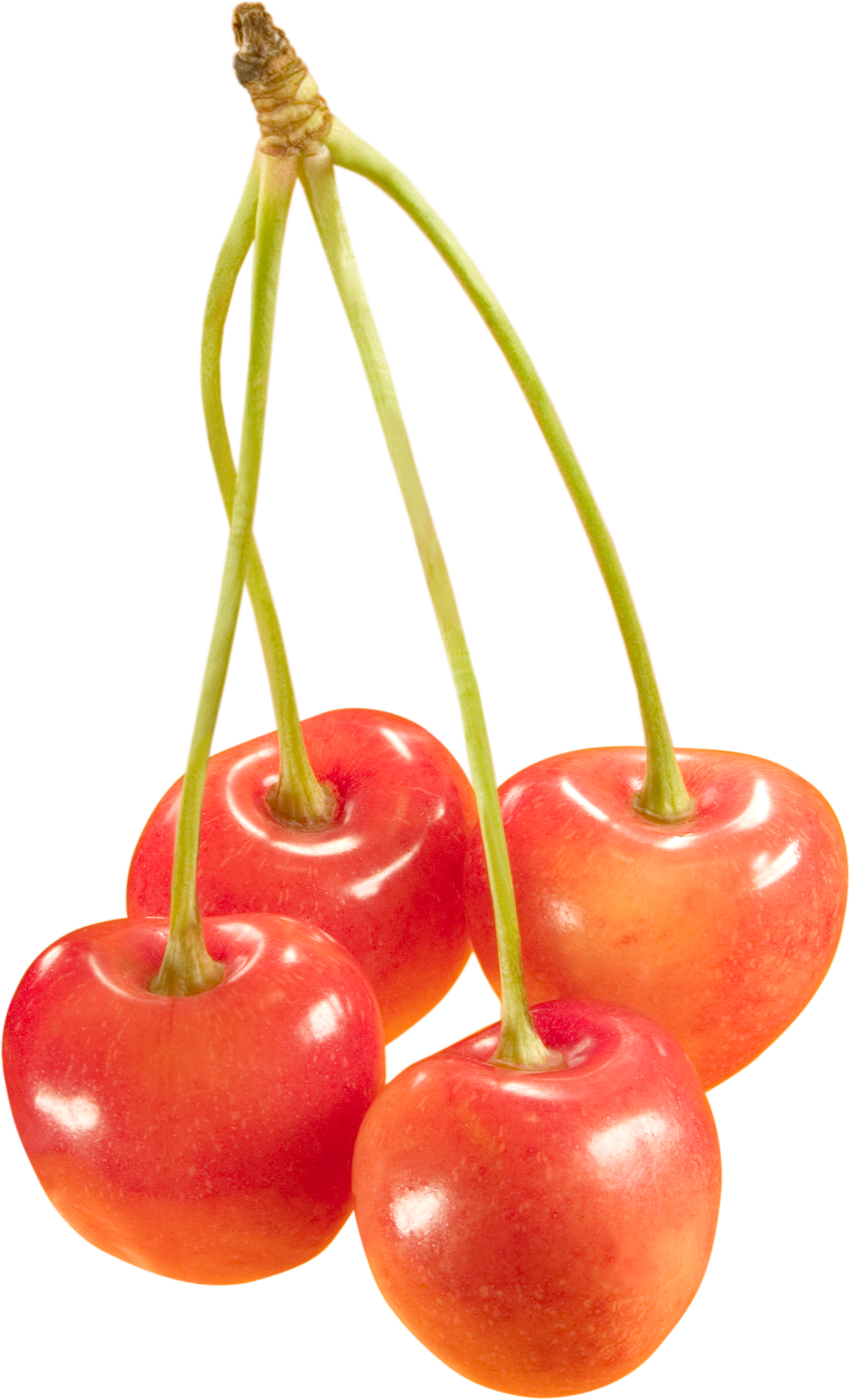 cherries PNG image