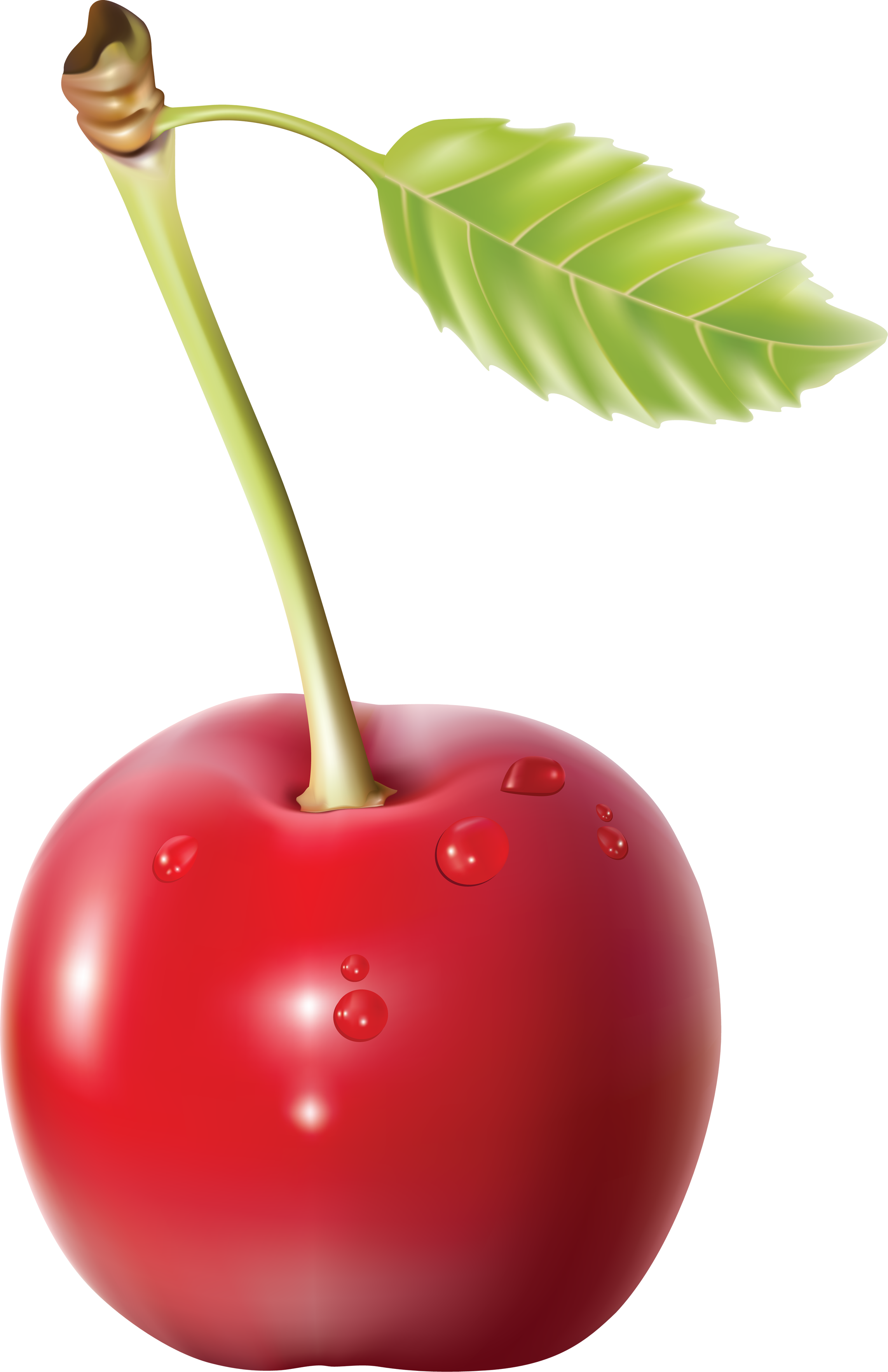 Cherry a philips d3s 35w e4 xenstart