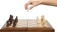 Chess in hand PNG image