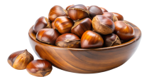 Chestnut PNG
