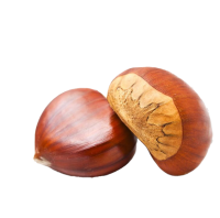 Chestnut PNG