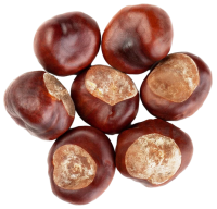 Chestnuts PNG