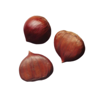 Chestnut PNG