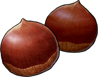 Chestnut PNG