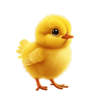 Chick PNG