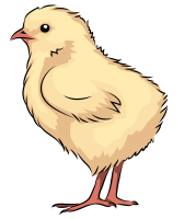 Chick PNG