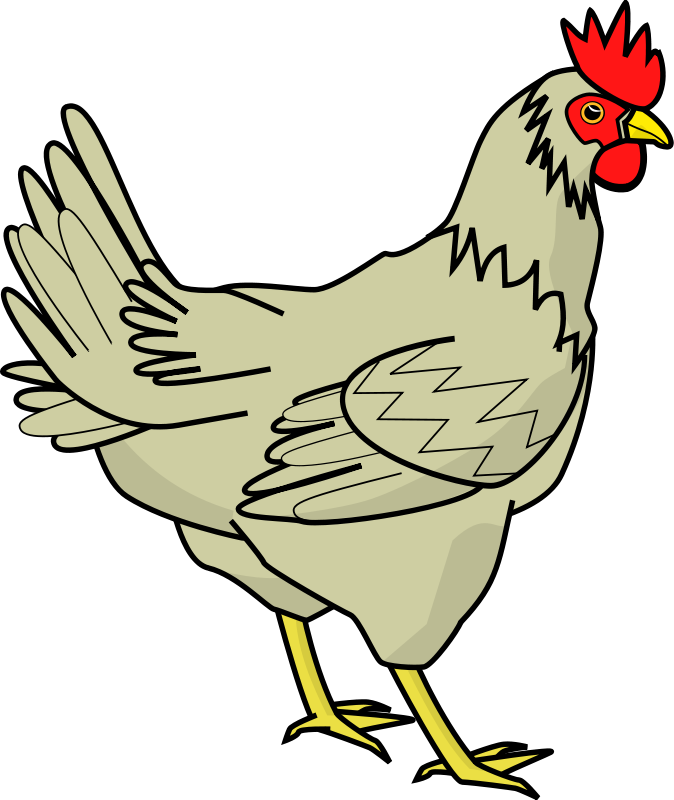 picture chicken PNG image