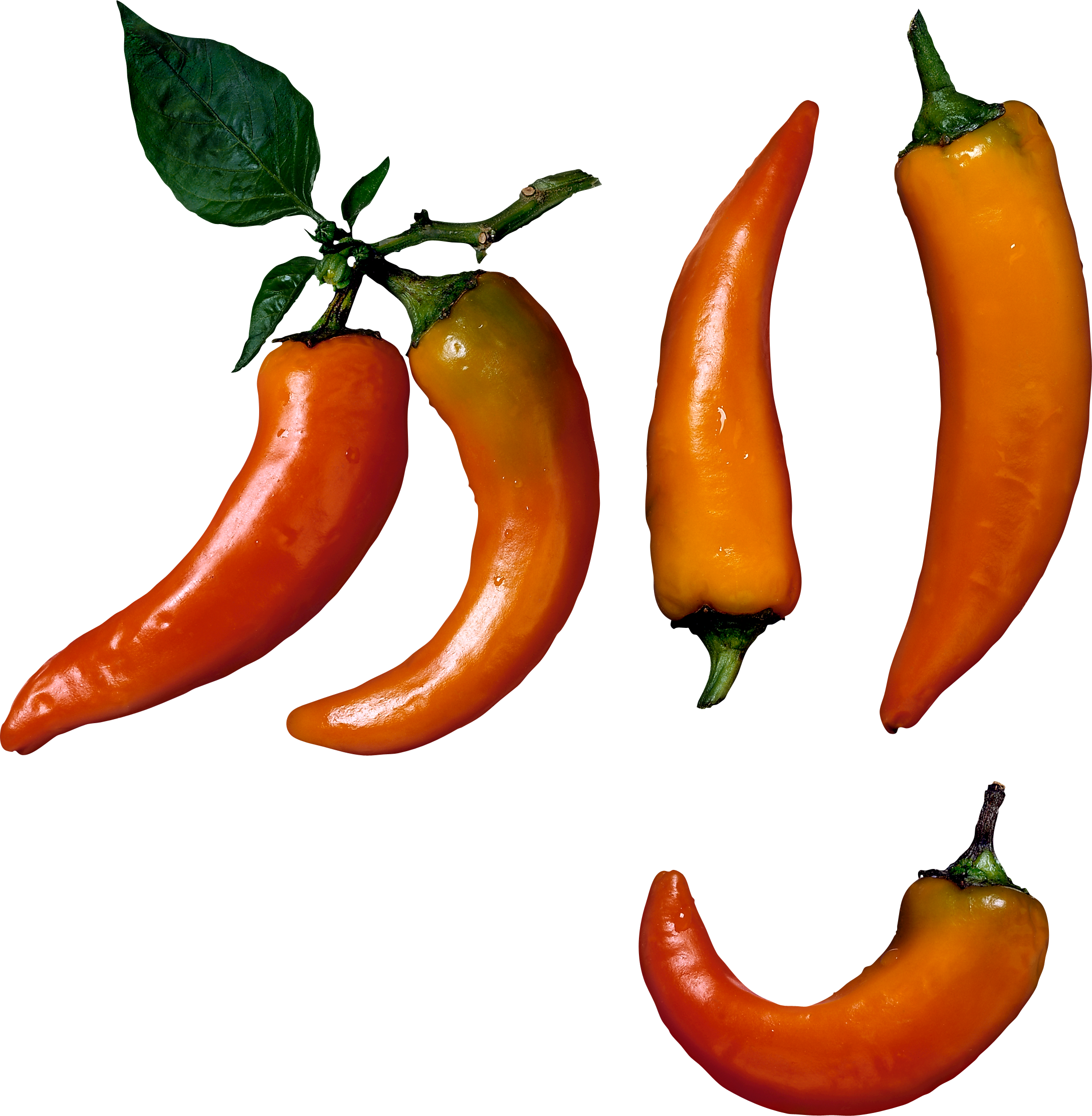 Chili pepper PNG