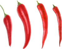 Chile pimiento PNG